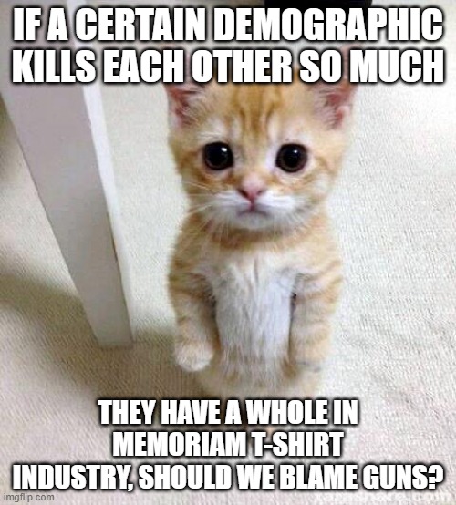 T shirts | IF A CERTAIN DEMOGRAPHIC KILLS EACH OTHER SO MUCH; THEY HAVE A WHOLE IN MEMORIAM T-SHIRT INDUSTRY, SHOULD WE BLAME GUNS? | image tagged in memes,cute cat | made w/ Imgflip meme maker