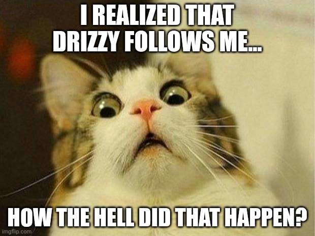 I'm so confused | I REALIZED THAT DRIZZY FOLLOWS ME... HOW THE HELL DID THAT HAPPEN? | image tagged in memes,scared cat | made w/ Imgflip meme maker