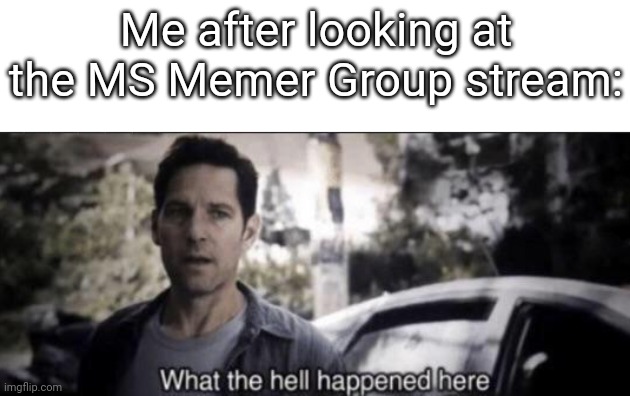 Fr somebody explain this to me | Me after looking at the MS Memer Group stream: | image tagged in what the hell happened here,imgflip,ms,memer group | made w/ Imgflip meme maker