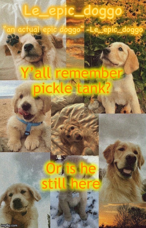 Doggo temp by doggo. Wait what that’s confusing | Y’all remember pickle tank? Or is he still here | image tagged in doggo temp by doggo wait what that s confusing | made w/ Imgflip meme maker