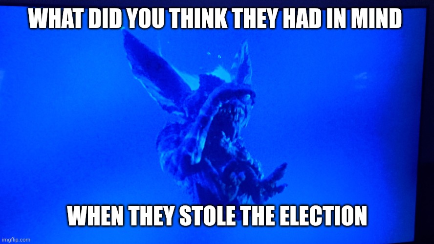 Scary | WHAT DID YOU THINK THEY HAD IN MIND; WHEN THEY STOLE THE ELECTION | image tagged in scary harry | made w/ Imgflip meme maker