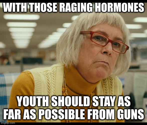 for all other products we restrict them for safety but guns actually kill people - WTF?! | WITH THOSE RAGING HORMONES; YOUTH SHOULD STAY AS FAR AS POSSIBLE FROM GUNS | image tagged in auditor bitch,guns,stupid,logic,freedumb | made w/ Imgflip meme maker