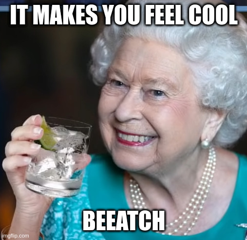 alcohol: it makes you swear | IT MAKES YOU FEEL COOL; BEEATCH | image tagged in drinky-poo | made w/ Imgflip meme maker