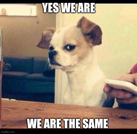 Mad dog | YES WE ARE WE ARE THE SAME | image tagged in mad dog | made w/ Imgflip meme maker