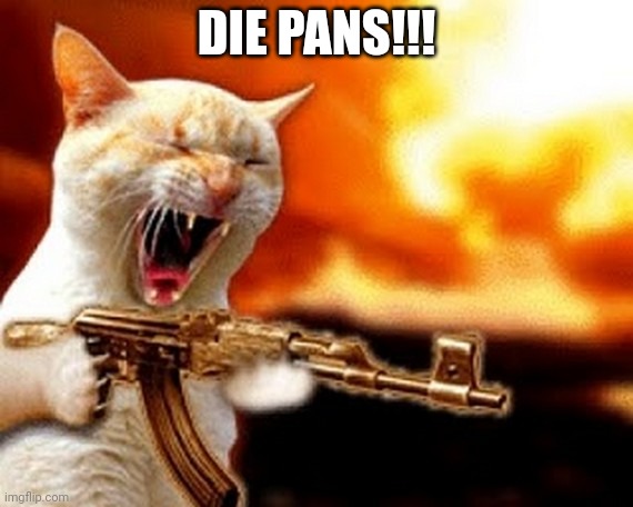 machine gun cat | DIE PANS!!! | image tagged in machine gun cat | made w/ Imgflip meme maker