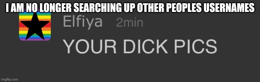 YOUR DICK PICS | I AM NO LONGER SEARCHING UP OTHER PEOPLES USERNAMES | image tagged in your dick pics | made w/ Imgflip meme maker