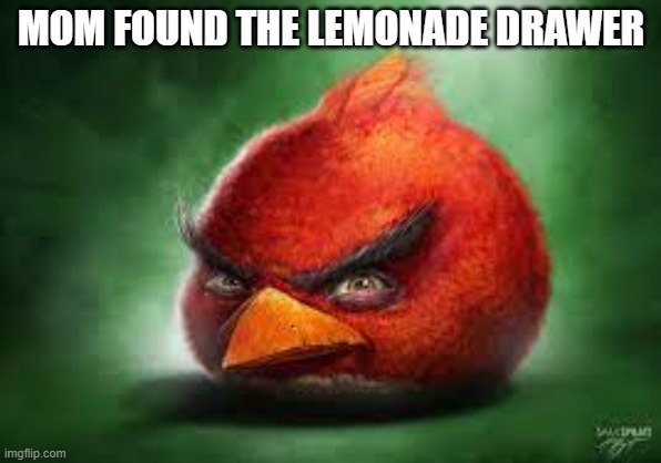 Mom found that drawer | MOM FOUND THE LEMONADE DRAWER | image tagged in realistic red angry birds,memes,lemonade,funny | made w/ Imgflip meme maker