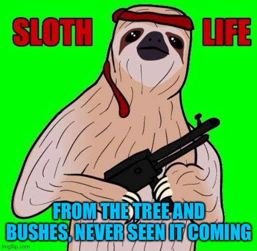 Sloth life | FROM THE TREE AND BUSHES, NEVER SEEN IT COMING | image tagged in sloth life | made w/ Imgflip meme maker