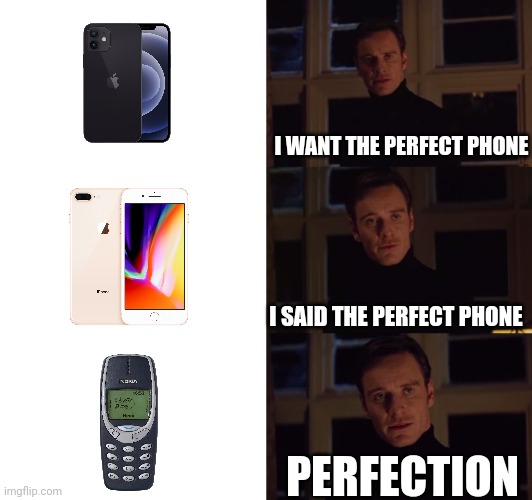 Nokia | I WANT THE PERFECT PHONE; I SAID THE PERFECT PHONE; PERFECTION | image tagged in perfection | made w/ Imgflip meme maker