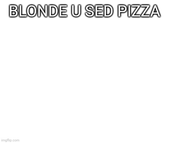 pizza cat | BLONDE U SED PIZZA | image tagged in pizza cat | made w/ Imgflip meme maker