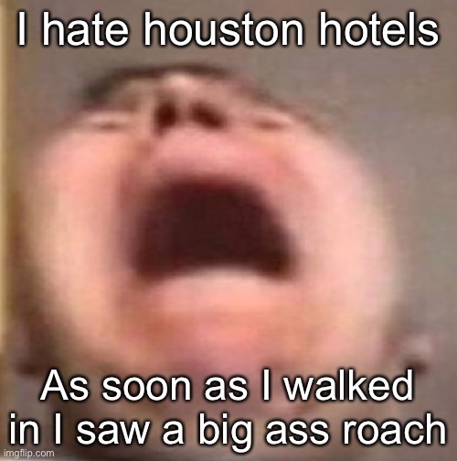 . | I hate houston hotels; As soon as I walked in I saw a big ass roach | made w/ Imgflip meme maker