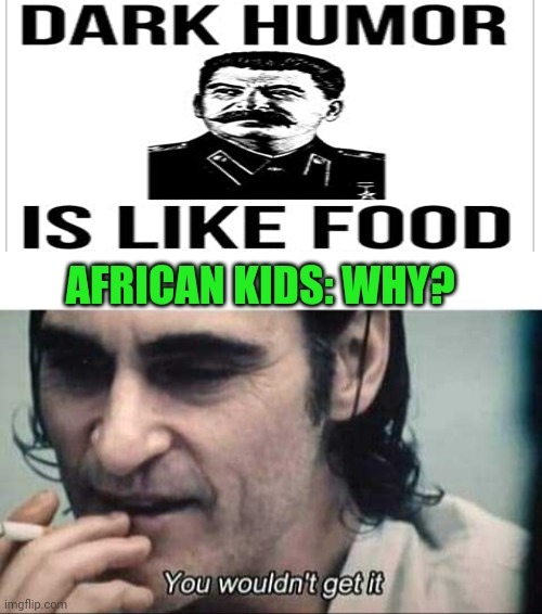 You wouldn't get it | AFRICAN KIDS: WHY? | image tagged in you wouldn't get it | made w/ Imgflip meme maker