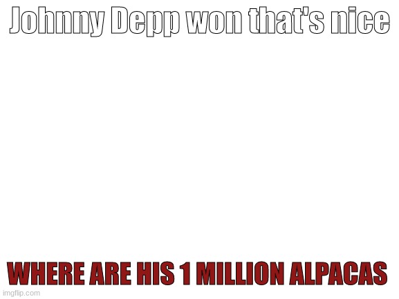 A question that will not be answered | Johnny Depp won that's nice; WHERE ARE HIS 1 MILLION ALPACAS | image tagged in blank white template,johnny depp,alpaca | made w/ Imgflip meme maker