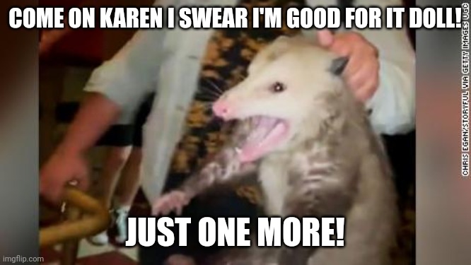 Cant pay the bar tab | COME ON KAREN I SWEAR I'M GOOD FOR IT DOLL! JUST ONE MORE! | image tagged in possum,pay,bar,drinking guy,beers | made w/ Imgflip meme maker