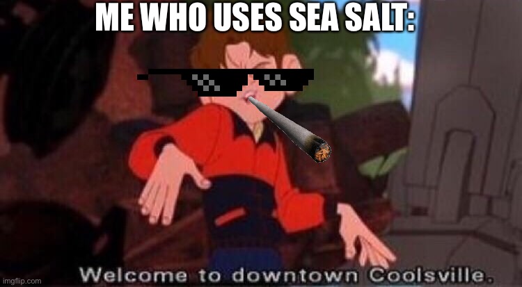 Welcome to Downtown Coolsville | ME WHO USES SEA SALT: | image tagged in welcome to downtown coolsville | made w/ Imgflip meme maker
