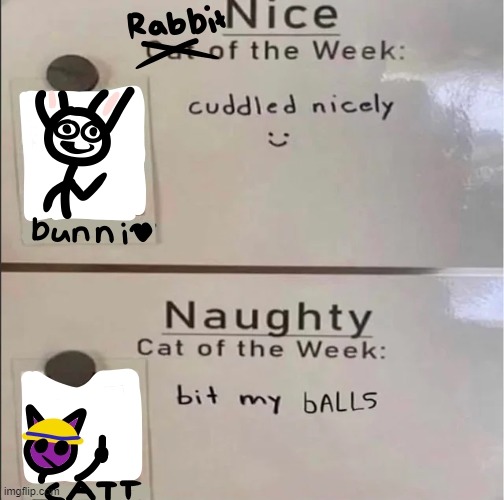bALLS | image tagged in bunni | made w/ Imgflip meme maker