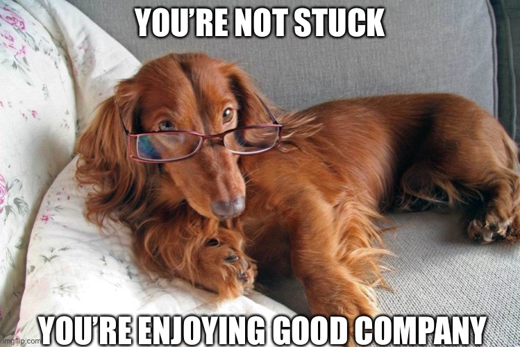 Intellectual dog | YOU’RE NOT STUCK YOU’RE ENJOYING GOOD COMPANY | image tagged in intellectual dog | made w/ Imgflip meme maker