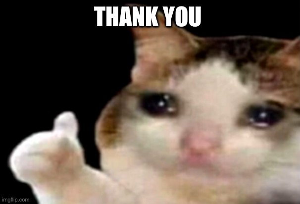 Sad cat thumbs up | THANK YOU | image tagged in sad cat thumbs up | made w/ Imgflip meme maker