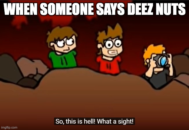 NOT THE NUTS!!!! | WHEN SOMEONE SAYS DEEZ NUTS | image tagged in so this is hell,eddsworld,tord | made w/ Imgflip meme maker