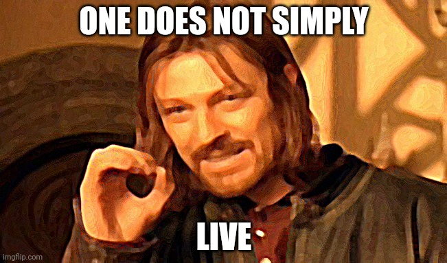 One Does Not Simply | ONE DOES NOT SIMPLY; LIVE | image tagged in memes,one does not simply | made w/ Imgflip meme maker