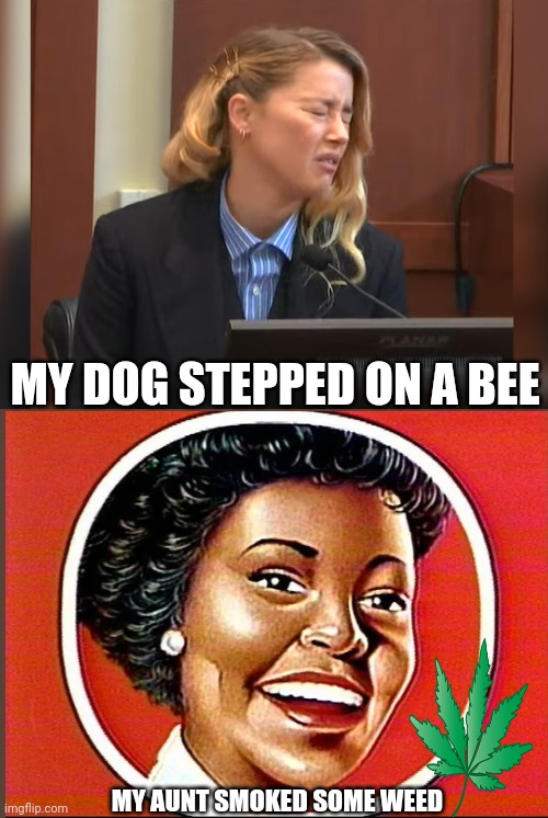 Amber heard meme, My dog stepped on a bee