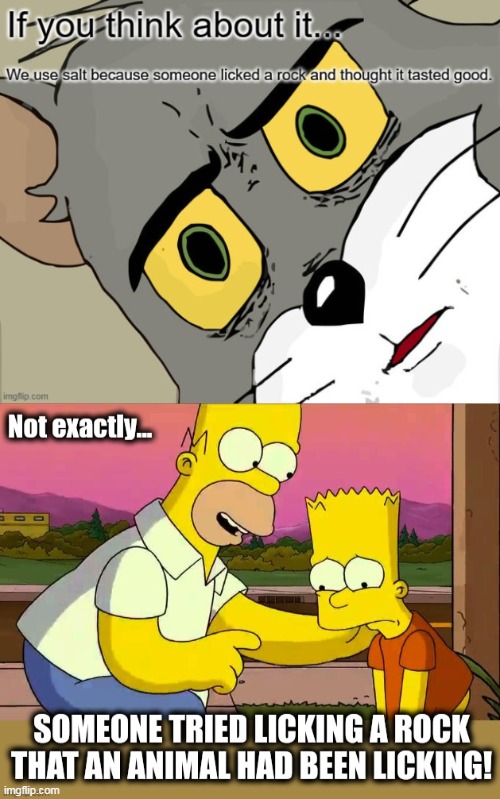 The history of Salt | image tagged in tom cat unsettled close up,homer simpson,salt,funny | made w/ Imgflip meme maker
