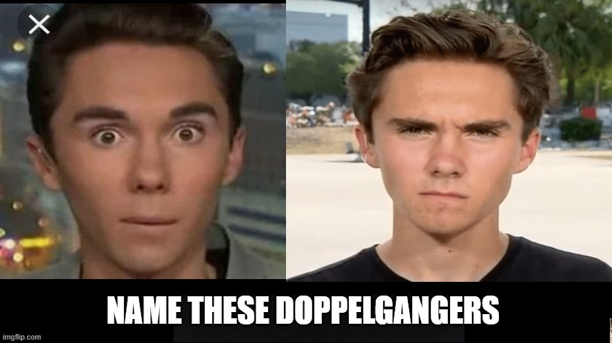 weird | NAME THESE DOPPELGANGERS | made w/ Imgflip meme maker