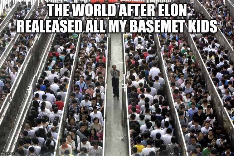 Too many people | THE WORLD AFTER ELON REALEASED ALL MY BASEMET KIDS | image tagged in too many people | made w/ Imgflip meme maker