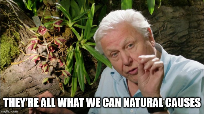 David Attenborough | THEY'RE ALL WHAT WE CAN NATURAL CAUSES | image tagged in david attenborough | made w/ Imgflip meme maker