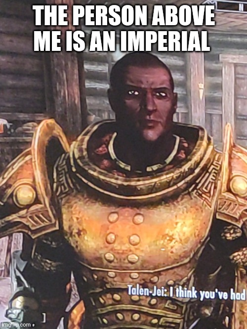 THE PERSON ABOVE ME IS AN IMPERIAL | image tagged in my skyrim character | made w/ Imgflip meme maker