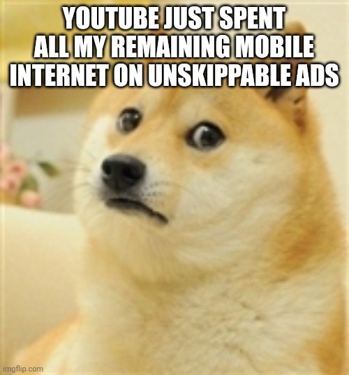 Sad Doge | YOUTUBE JUST SPENT ALL MY REMAINING MOBILE INTERNET ON UNSKIPPABLE ADS | image tagged in sad doge | made w/ Imgflip meme maker