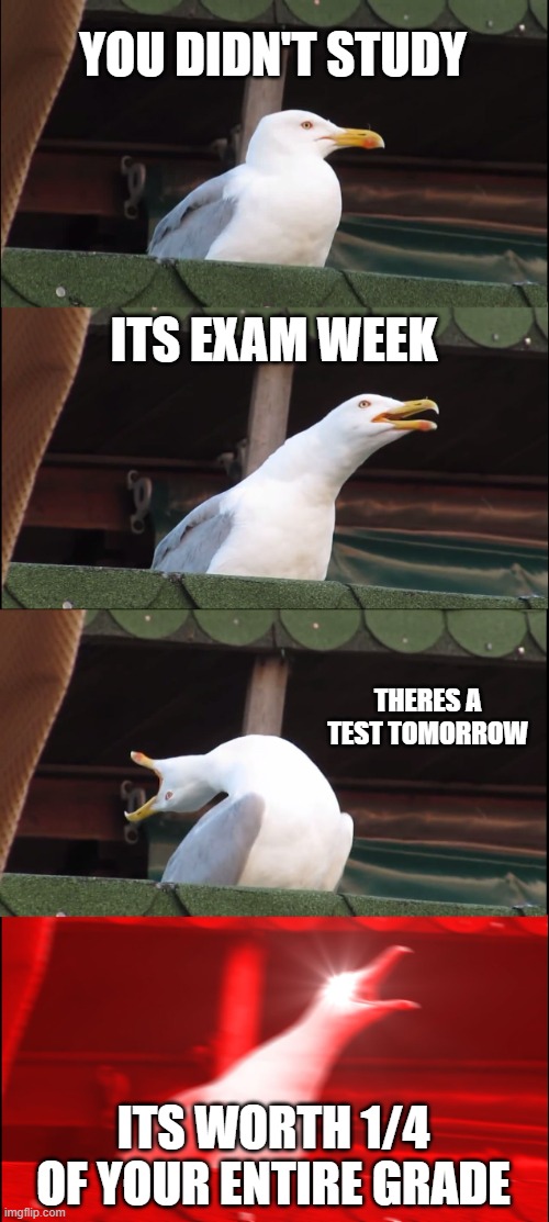 uh oh :D | YOU DIDN'T STUDY; ITS EXAM WEEK; THERES A TEST TOMORROW; ITS WORTH 1/4 OF YOUR ENTIRE GRADE | image tagged in memes,inhaling seagull,based on  true events | made w/ Imgflip meme maker