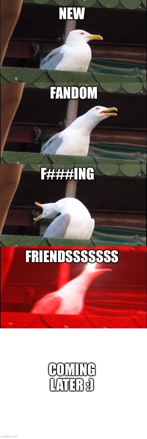 NEW FANDOM FRIENDS (soon :) ) | NEW; FANDOM; F###ING; FRIENDSSSSSSS; COMING LATER :) | image tagged in memes,inhaling seagull,blank white template | made w/ Imgflip meme maker
