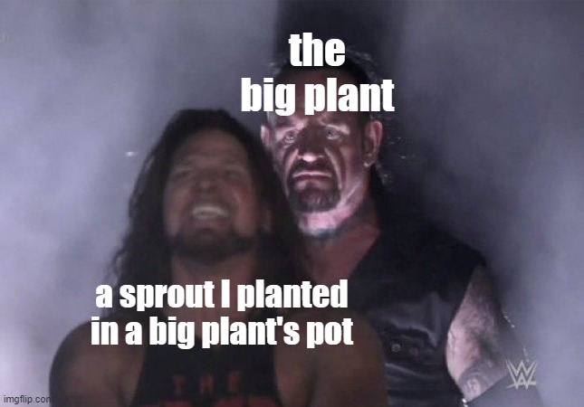 8 year old me planting a sprout in a big pot's plant and then suddenly: | the big plant; a sprout I planted in a big plant's pot | image tagged in memes,relatable,young | made w/ Imgflip meme maker