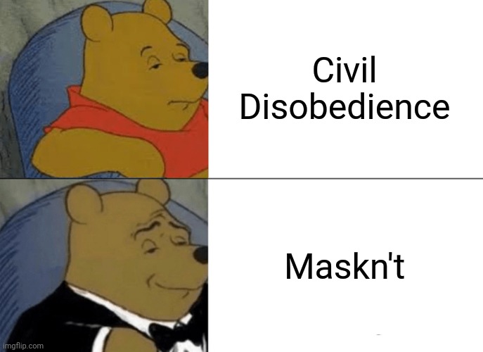 Am I wrong though?? | Civil Disobedience; Maskn't | image tagged in memes,tuxedo winnie the pooh | made w/ Imgflip meme maker