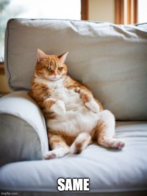 Lazy cat | SAME | image tagged in lazy cat | made w/ Imgflip meme maker