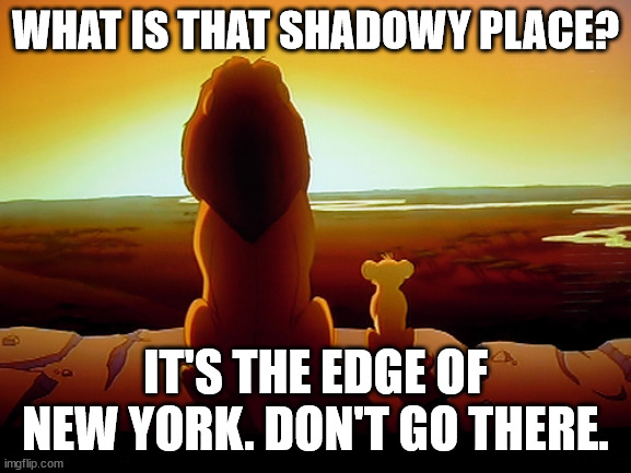Lion King Meme | WHAT IS THAT SHADOWY PLACE? IT'S THE EDGE OF NEW YORK. DON'T GO THERE. | image tagged in memes,lion king | made w/ Imgflip meme maker