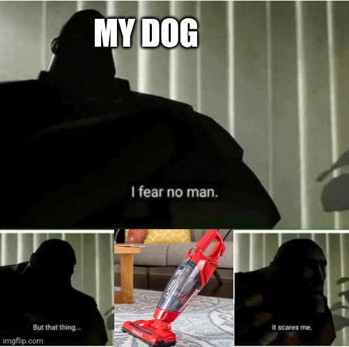 I fear no man | MY DOG | image tagged in i fear no man,dog,vacuum cleaner | made w/ Imgflip meme maker