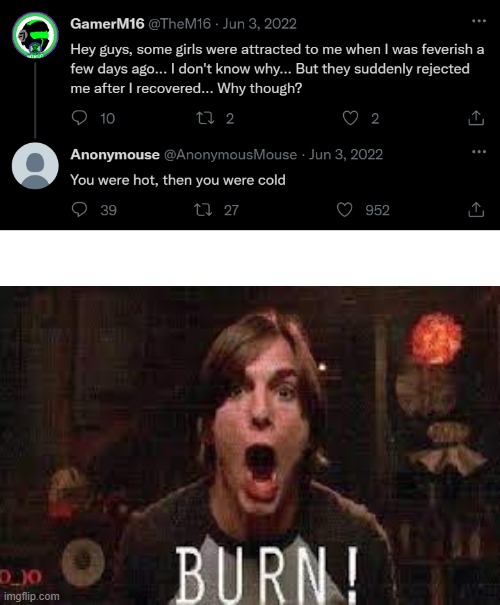 What a burn... | image tagged in blank white template,fever,twitter,hot | made w/ Imgflip meme maker