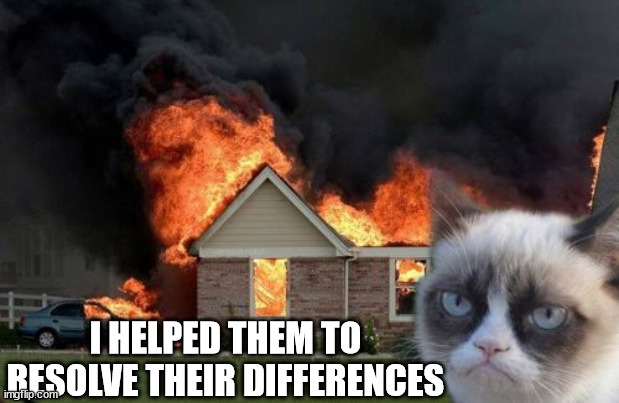 Burn Kitty Meme | I HELPED THEM TO RESOLVE THEIR DIFFERENCES | image tagged in memes,burn kitty,grumpy cat | made w/ Imgflip meme maker