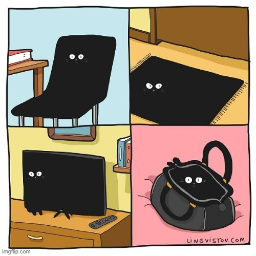 A Cat's Way Of Thinking | image tagged in memes,comics,cats,black,hiding,you can't see me | made w/ Imgflip meme maker