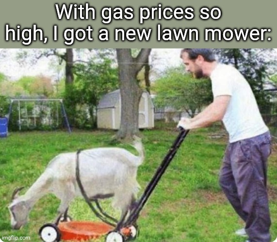Goat Mower | With gas prices so high, I got a new lawn mower: | image tagged in high,gas prices,goat,lawnmower | made w/ Imgflip meme maker