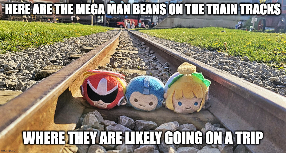 Mega Man on Train Tracks | HERE ARE THE MEGA MAN BEANS ON THE TRAIN TRACKS; WHERE THEY ARE LIKELY GOING ON A TRIP | image tagged in trains,megaman,protoman,roll,memes | made w/ Imgflip meme maker