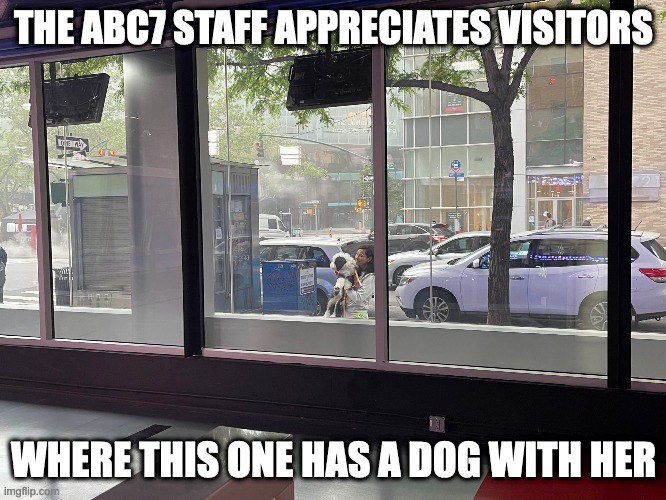 Dog Days | THE ABC7 STAFF APPRECIATES VISITORS; WHERE THIS ONE HAS A DOG WITH HER | image tagged in news,dogs,memes | made w/ Imgflip meme maker