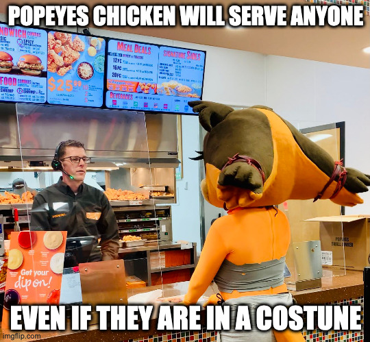 Person in a Sticks Costume at Popeyes Chicken | POPEYES CHICKEN WILL SERVE ANYONE; EVEN IF THEY ARE IN A COSTUNE | image tagged in sticks,sonic the hedgehog,memes,popeyes | made w/ Imgflip meme maker