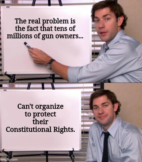 We could end this shit if we come together. | The real problem is the fact that tens of millions of gun owners... Can't organize to protect their Constitutional Rights. | image tagged in jim halpert explains | made w/ Imgflip meme maker