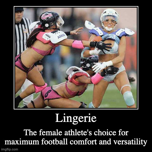 Lingerie | image tagged in demotivationals,lingerie,sports | made w/ Imgflip demotivational maker