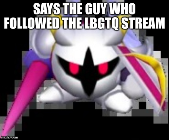 Forward facing galacta knight | SAYS THE GUY WHO FOLLOWED THE LBGTQ STREAM | image tagged in forward facing galacta knight | made w/ Imgflip meme maker
