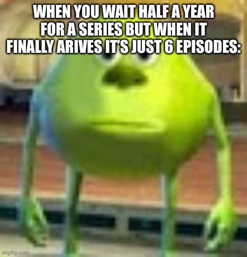 Sully Wazowski | WHEN YOU WAIT HALF A YEAR FOR A SERIES BUT WHEN IT FINALLY ARIVES IT’S JUST 6 EPISODES: | image tagged in sully wazowski | made w/ Imgflip meme maker