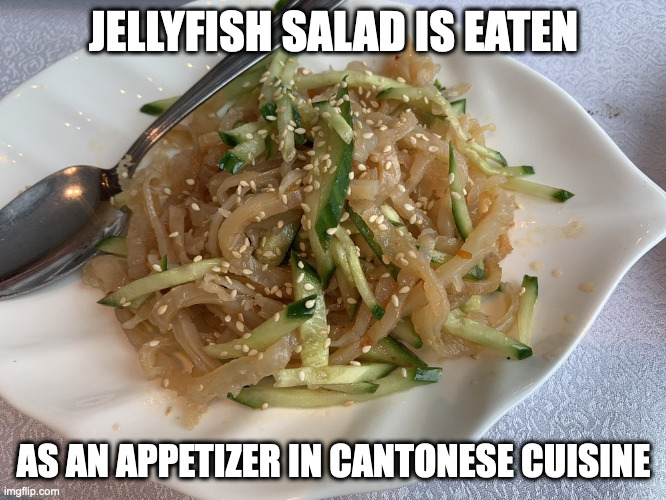 Jellyfish Salad | JELLYFISH SALAD IS EATEN; AS AN APPETIZER IN CANTONESE CUISINE | image tagged in jellyfish,food,memes | made w/ Imgflip meme maker